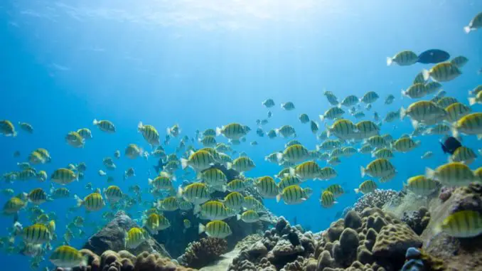 The Last Convict Tang Care Data